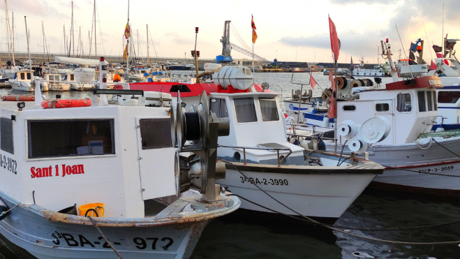 Barcas de pesca en el puerto de Palamós / Foto: Laia Antúnez