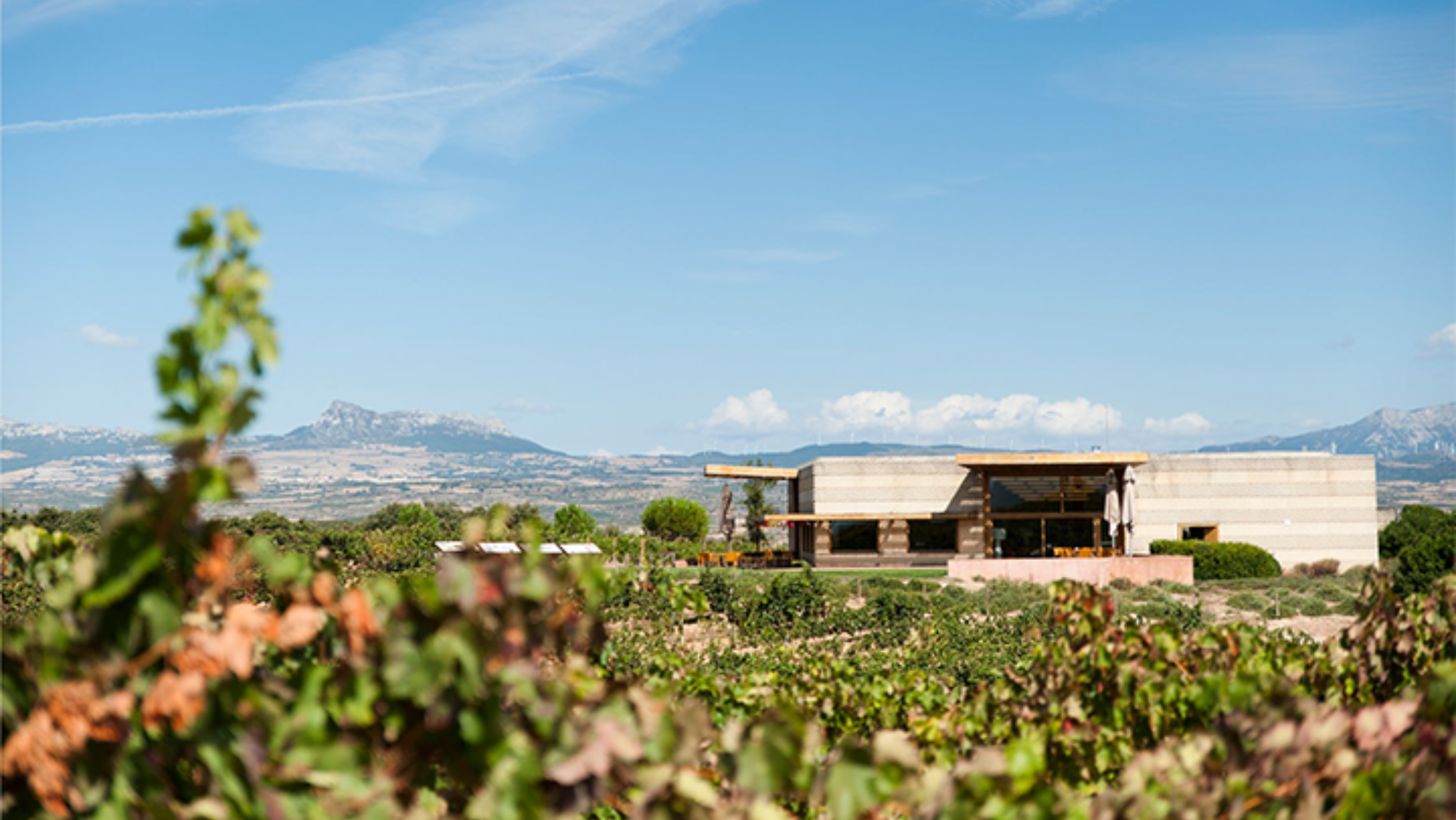 Campo Viejo Es La Mejor Bodega De España, Según La New York ...