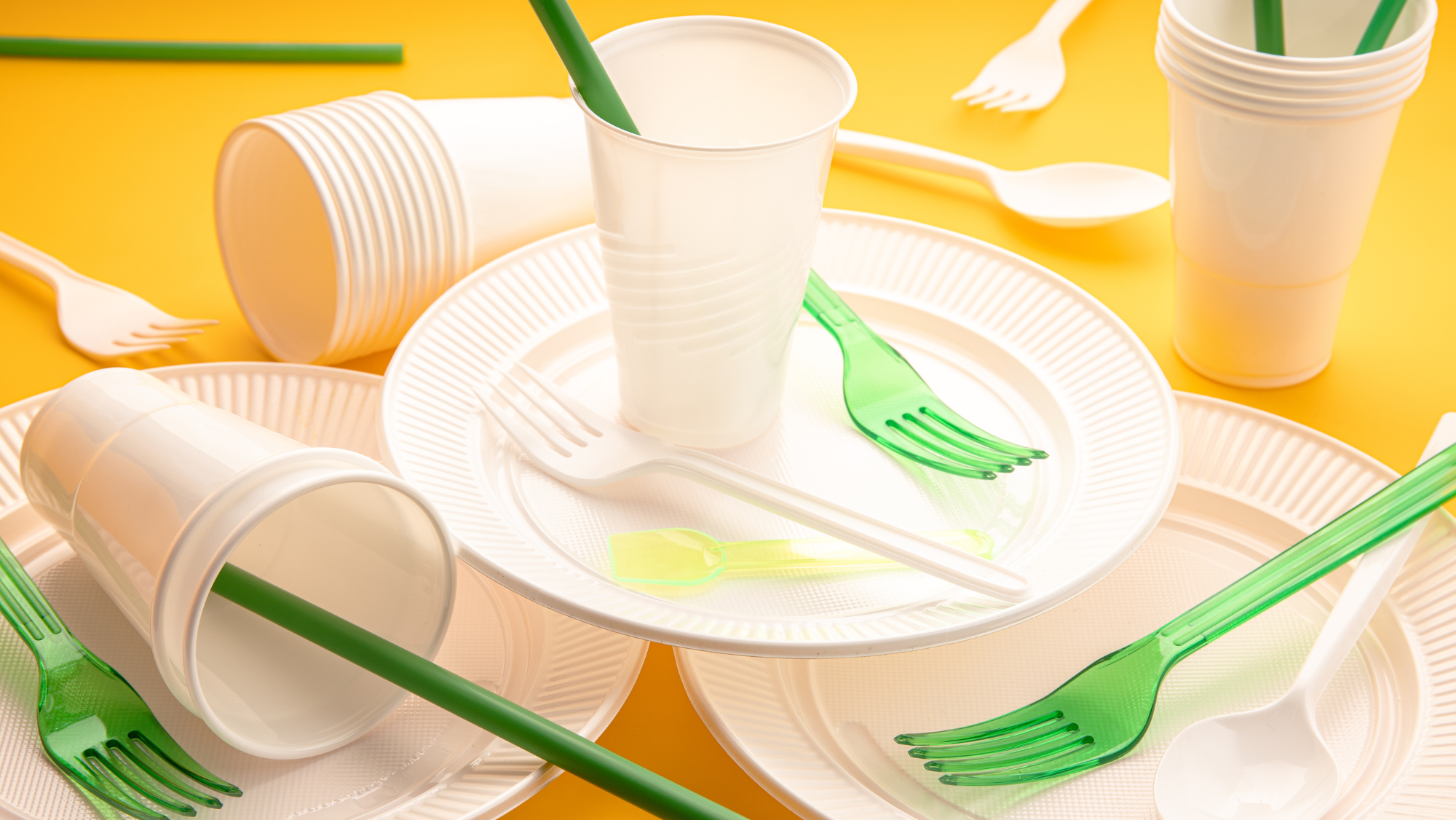 Elija el mejor plato de plástico para cada uso