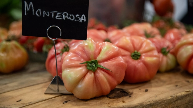 Tomates Monterosa en Mercabarna / GALA ESPÍN