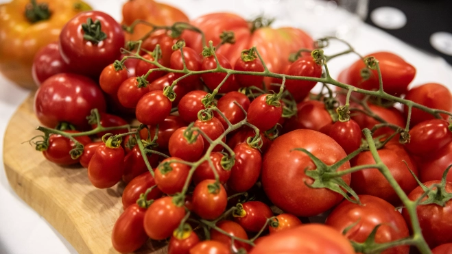 Tomates cherry y tomates de rama en Mercabarna / GALA ESPÍN