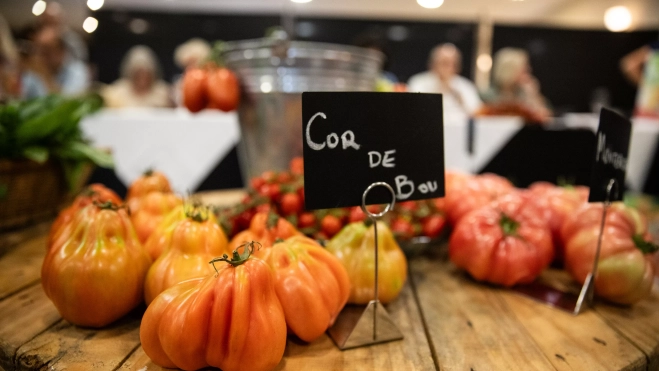 Tomates 'cor de bou' en Mercabarna / GALA ESPÍN