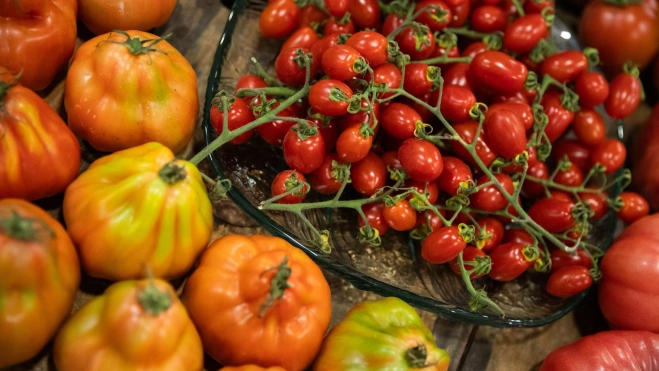 Diversas variedades de tomate en Mercabarna / GALA ESPÍN