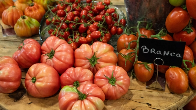 Diversas variedades de tomates expuestas en Mercabarna / GALA ESPÍN