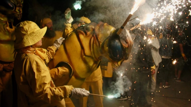 Fiesta de la Filoxera / Foto: web Associació Festa de la Fil·loxera 