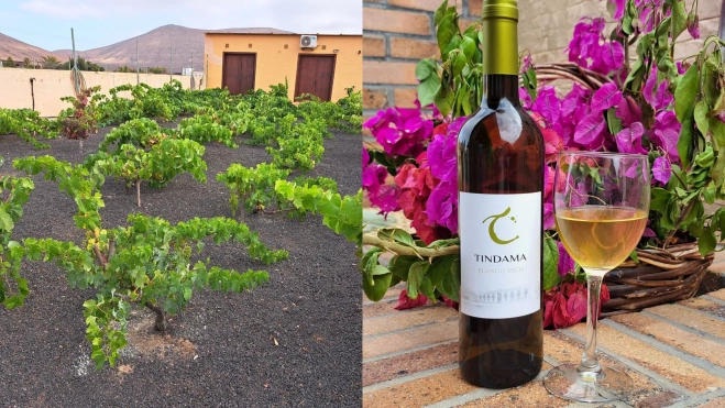 Viñedos y vino de la bodega Tindama de Fuerteventura / Foto: Raquel Castillo