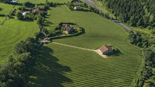 Vista aérea de los viñedos de la bodega Bat Gara en Álava (País Vasco) / Foto cedida