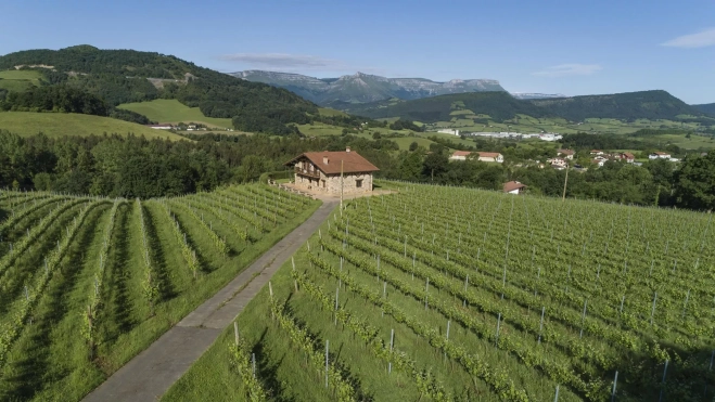 Los viñedos de la bodega Bat Gara en Álava (País Vasco) / Cedida