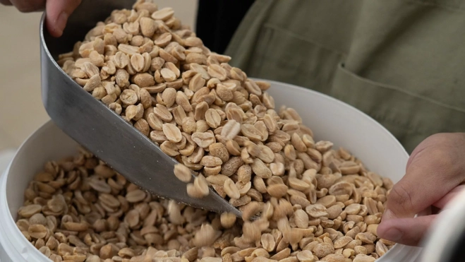 Cacahuetes utilizados para elaborar la crema de The Buttery / Txaber Allué