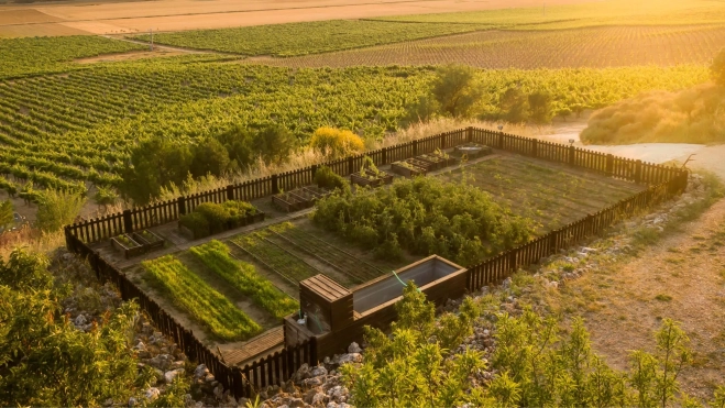 El huerto ecológico de Ambivium (Valladolid) / Cedida